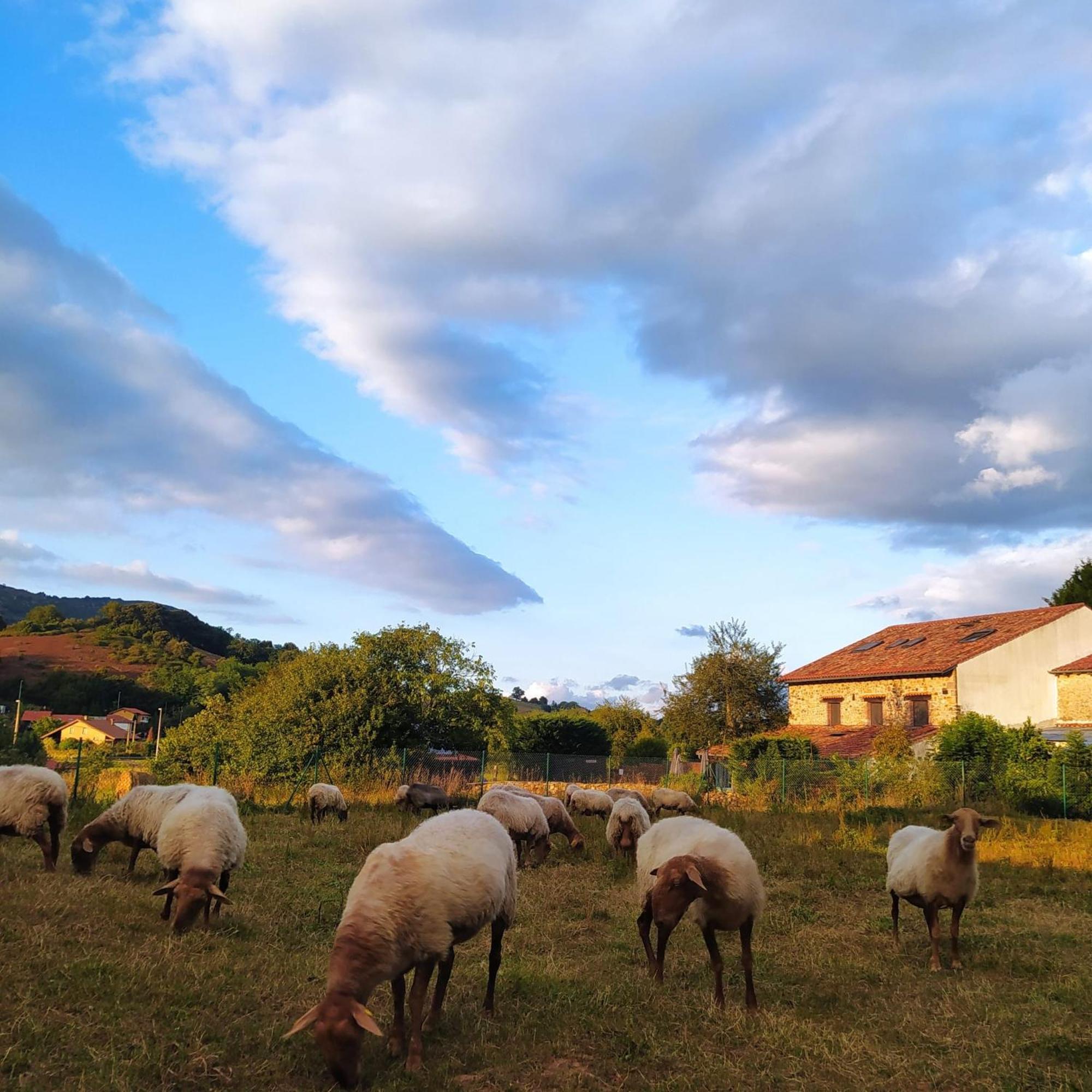 Posada La Corralada Pámanes Dış mekan fotoğraf